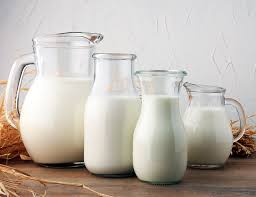 wellhealthorganic buffalo milk tag in hindi