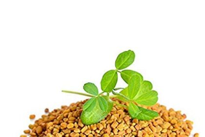 मेथी खाने के नुकसान